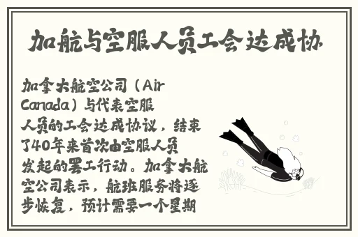 福州兄妹张婉莹赵小贝+ 点赞数排名